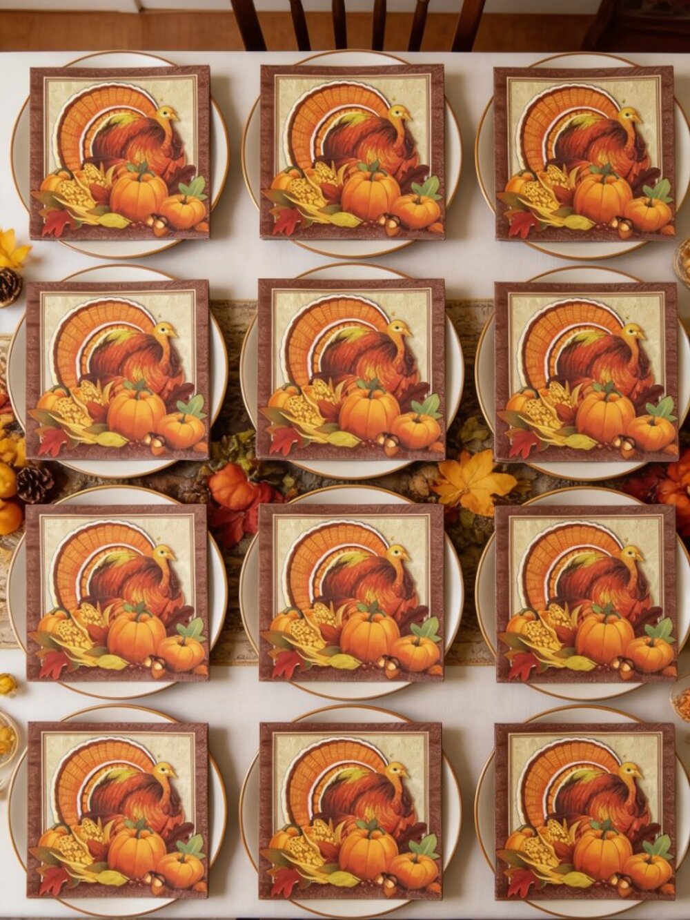 16 Count Thanksgiving Turkey Paper Napkins - Fall Harvest Cocktail Dessert 5x5"